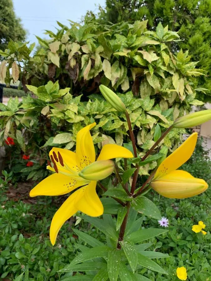 Flower Garden Villa Ksamil